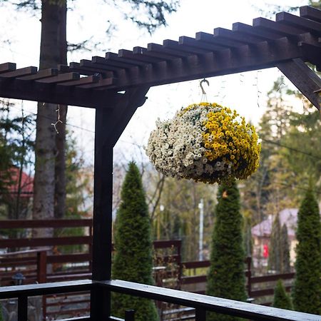 Impala Sinaia - Kudu Apartment Exterior photo